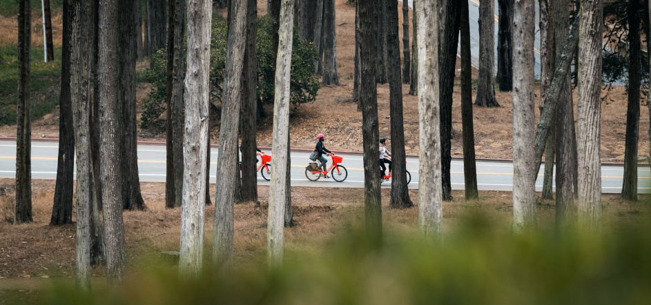 Conservation, environmental groups oppose e-bike access